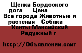 Щенки Бордоского дога.  › Цена ­ 30 000 - Все города Животные и растения » Собаки   . Ханты-Мансийский,Радужный г.